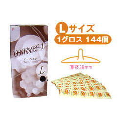 ハーベスト【L】(144個入り)