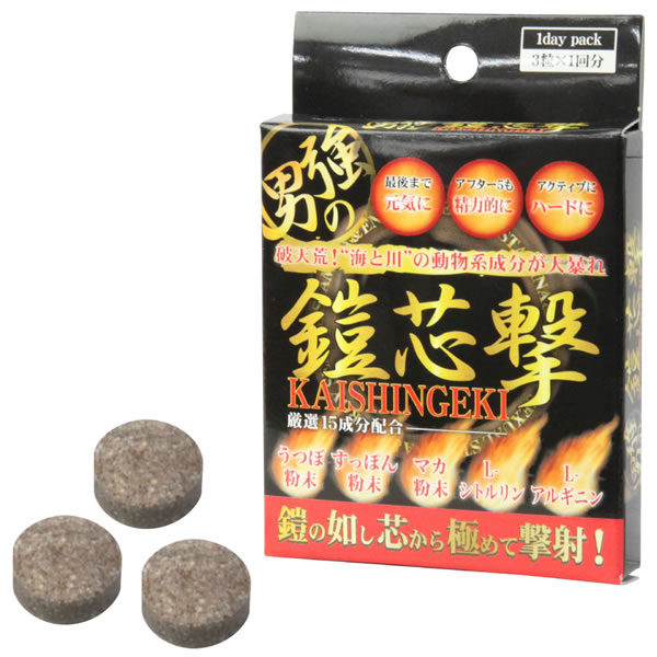 ★鎧芯撃(かいしんげき)