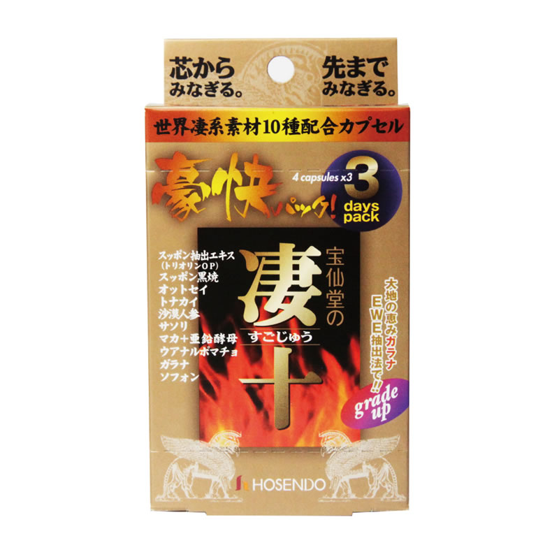 ★凄十 豪快パック 4T×3days