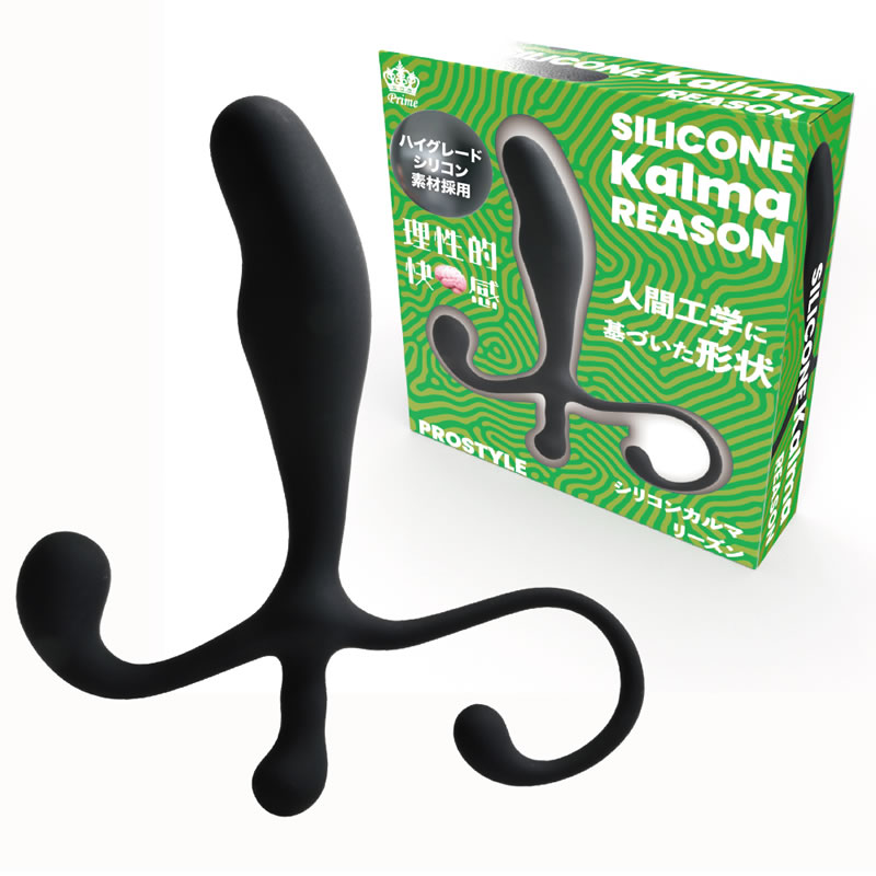 ★シリコンカルマ　リーズン