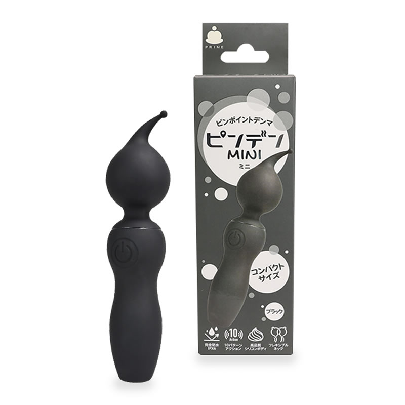 ★ピンデンミニ　ブラック
