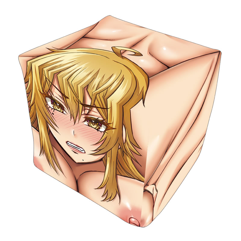 ★箱化インサートエアピローカバー#3　金成電狐　イラスト:ねこ電力